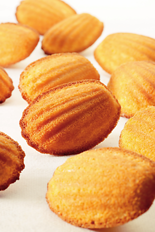 AANBIEDING: Madeleine 